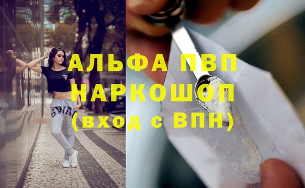 ГАЛЛЮЦИНОГЕННЫЕ ГРИБЫ Карталы