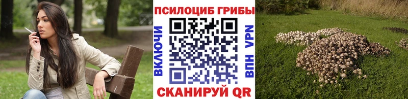 kraken сайт  Саров  Галлюциногенные грибы Magic Shrooms 